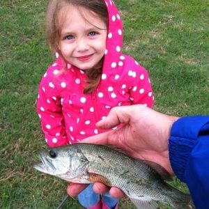 Meet your Posher, Ann